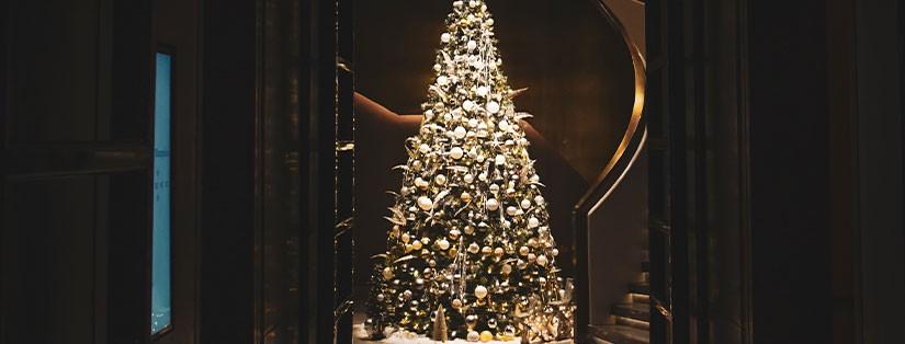 Les traditions de Noël en Provence : nos idées pour le célébrer