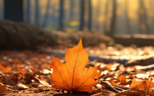 Les meilleures destinations d'automne