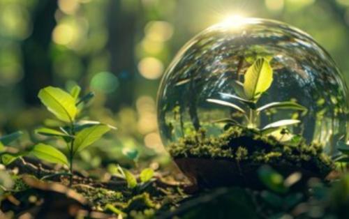 Les tendances RSE à intégrer dans vos séminaires d’entreprise en 2025