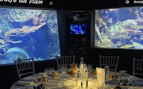 L’Aquarium de Lyon : quand la biodiversité inspire vos événements