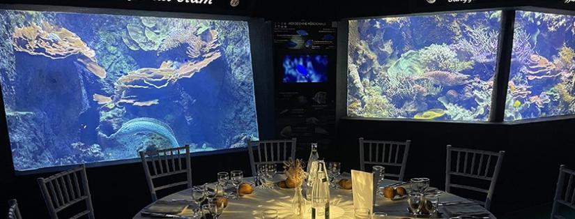 interview Aquarium de Lyon