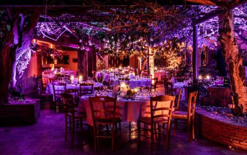 Mariage en Provence : 50+ lieux & domaines à découvrir