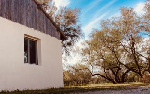 Manade Allard : l'authenticité camarguaise au service de vos réceptions