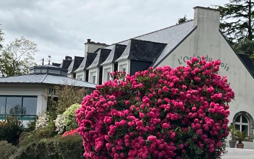 L’Orée du Bois : près de 50 ans au service des événements en Bretagne