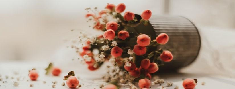 Par quoi remplacer les dragées ?