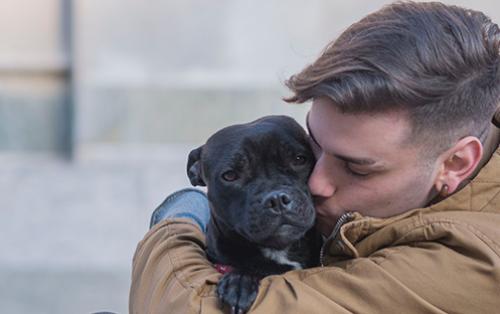 Organiser un évènement pet friendly