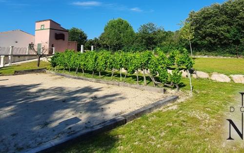 Interview - Domaine Naïs