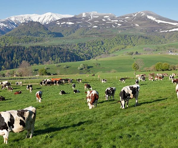 Auvergne-Rhône-Alpes