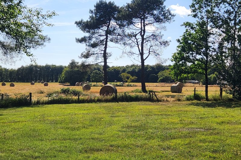 Domaine de Ker Léon - Salle + Parc arboré + Grand Parc / Haute Saison