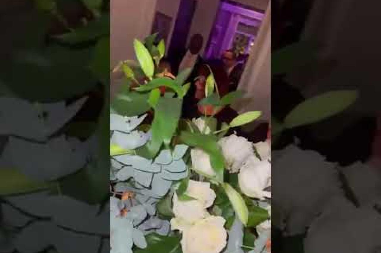 Vidéo #23020