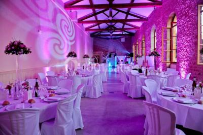 Miniature Location salle Alix (Rhône) - Domaine du Clos des Liesses #6 Chambre avec lit double, parquet clair, échelle en bois menant à une mezzanine, fenêtre avec rideaux et miroir debout.