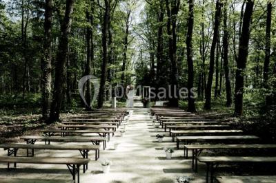 Miniature Location salle Alix (Rhône) - Domaine du Clos des Liesses #10 Chambre avec lit double, parquet clair, échelle en bois menant à une mezzanine, fenêtre avec rideaux et miroir debout.