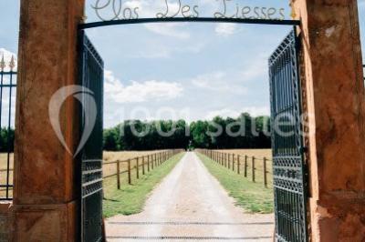 Miniature Location salle Alix (Rhône) - Domaine du Clos des Liesses #8 Chambre avec lit double, parquet clair, échelle en bois menant à une mezzanine, fenêtre avec rideaux et miroir debout.