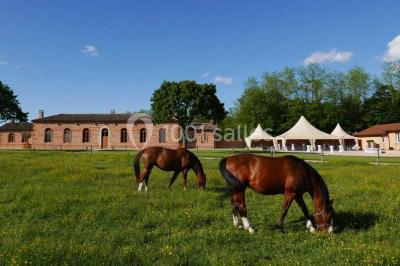 Domaine du Clos des Liesses - photo 1