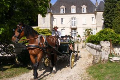 Miniature Location salle Limé (Aisne) - Domaine de Limé #12 Location salle Limé (Aisne) - Domaine de Limé #23