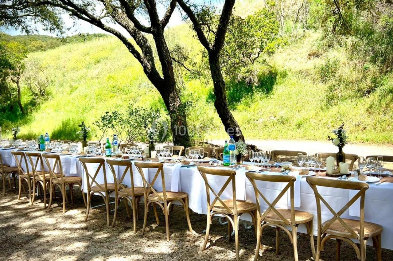 Table dressée en extérieur sous des arbres, avec nappes blanches, chaises en bois et vaisselle disposée.