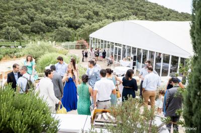 Vue d'un bâtiment moderne avec une structure blanche entouré de végétation méditerranéenne et d'un ciel bleu clair.