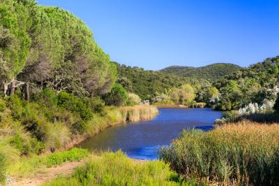 Vue d'un bâtiment moderne avec une structure blanche entouré de végétation méditerranéenne et d'un ciel bleu clair.