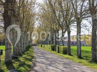 Location salle Aucamville (Tarn-et-Garonne) - Domaine de Balestat #4