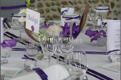 Location salle Aucamville (Tarn-et-Garonne) - Domaine de Balestat #19