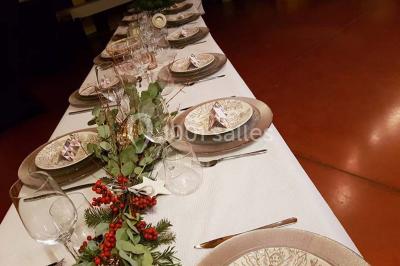 Location salle Mauguio (Hérault) - Manade des Termes #12