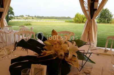 Location salle Lavardac (Lot-et-Garonne) - Château La Hitte #8