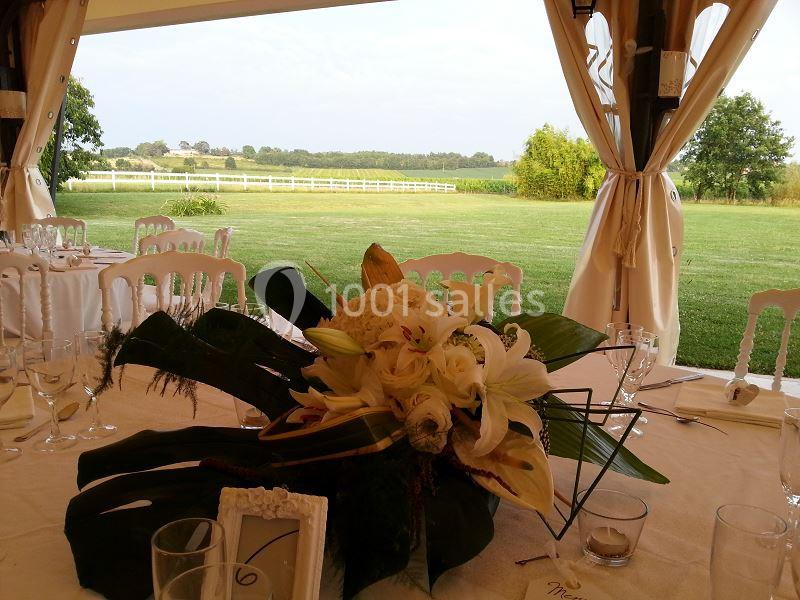 Location salle Lavardac (Lot-et-Garonne) - Château La Hitte #1
