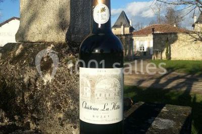 Location salle Lavardac (Lot-et-Garonne) - Château La Hitte #8