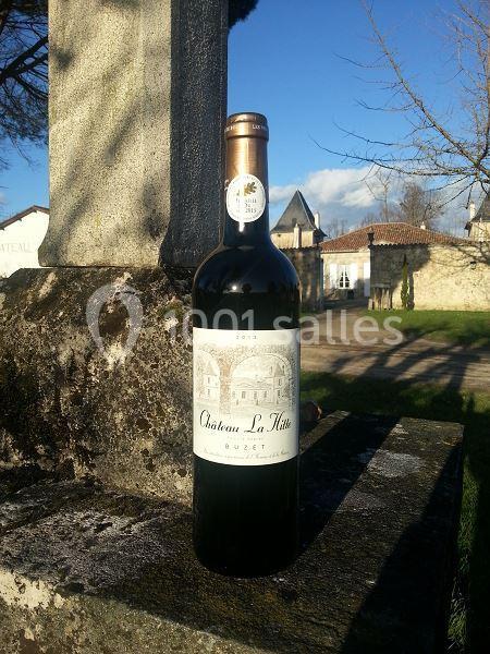 Location salle Lavardac (Lot-et-Garonne) - Château La Hitte #4