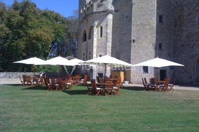 Location salle Saint-Loup-Lamairé (Deux-Sèvres) - Château De Saint Loup #24