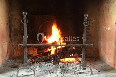 Location salle Saint-Loup-Lamairé (Deux-Sèvres) - Château De Saint Loup #24