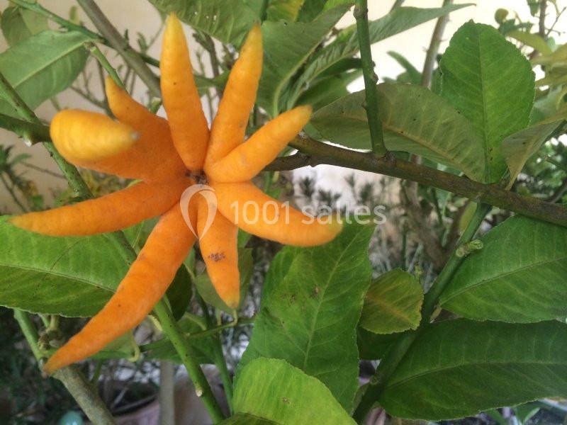 Location salle Saint-Loup-Lamairé (Deux-Sèvres) - Château De Saint Loup #24