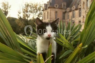 Location salle Saint-Loup-Lamairé (Deux-Sèvres) - Château De Saint Loup #24