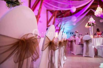 Verres de cocktail orange garnis de tranches d'orange et de pailles noires, disposés sur une nappe noire.