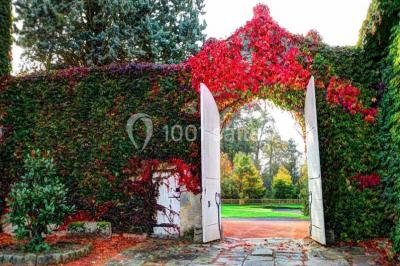 Verres de cocktail orange garnis de tranches d'orange et de pailles noires, disposés sur une nappe noire.