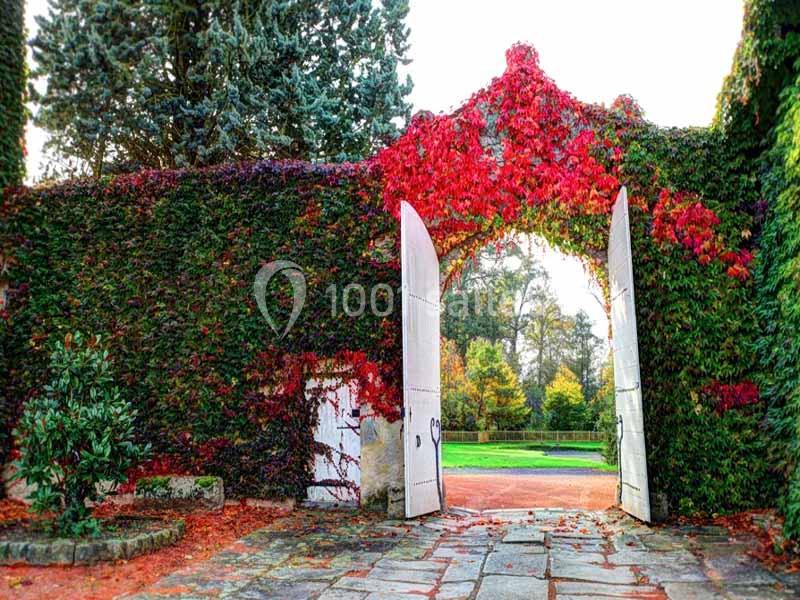 Portail en bois blanc ouvert dans un mur couvert de lierre rouge et vert, donnant sur un jardin arboré.
