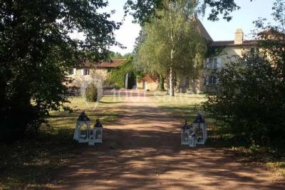Verres de cocktail orange garnis de tranches d'orange et de pailles noires, disposés sur une nappe noire.