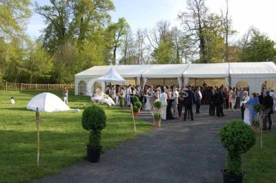Verres de cocktail orange garnis de tranches d'orange et de pailles noires, disposés sur une nappe noire.
