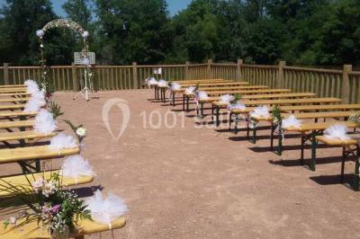 Verres de cocktail orange garnis de tranches d'orange et de pailles noires, disposés sur une nappe noire.