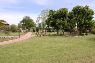 Verres de cocktail orange garnis de tranches d'orange et de pailles noires, disposés sur une nappe noire.
