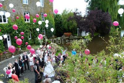 Miniature Location salle Plénée-Jugon (Côtes-d'Armor) - Le Moulin De L'arguenon #6 Location salle Plénée-Jugon (Côtes-d'Armor) - Le Moulin De L'arguenon #24