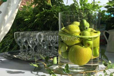 Location salle Avenières (Isère) - Domaine Du Manoir #23