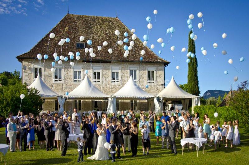 Location salle Avenières (Isère) - Domaine Du Manoir #23