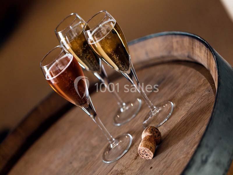 Location salle Trépail (Marne) - Pré En Bulles #13