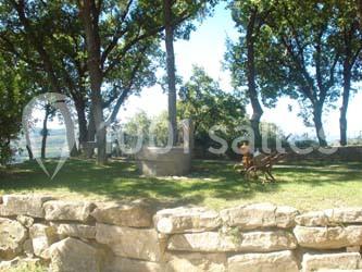 Location salle Le Castellet (Var) - Le Mas Des Oliviers #6