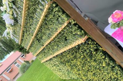 Table en bois décorée de bougies, fleurs et feuillage, entourée de chaises, sous une arche végétale dans une salle lumineuse.