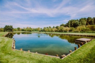 Tente blanche avec fenêtres en arc installée dans un jardin, entourée d'arbres et de pelouses sous un ciel dégagé.