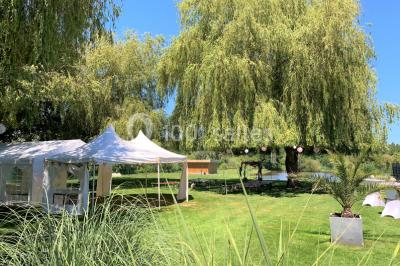 Tente blanche installée sur une pelouse verdoyante près d'un grand saule pleureur, sous un ciel bleu clair.