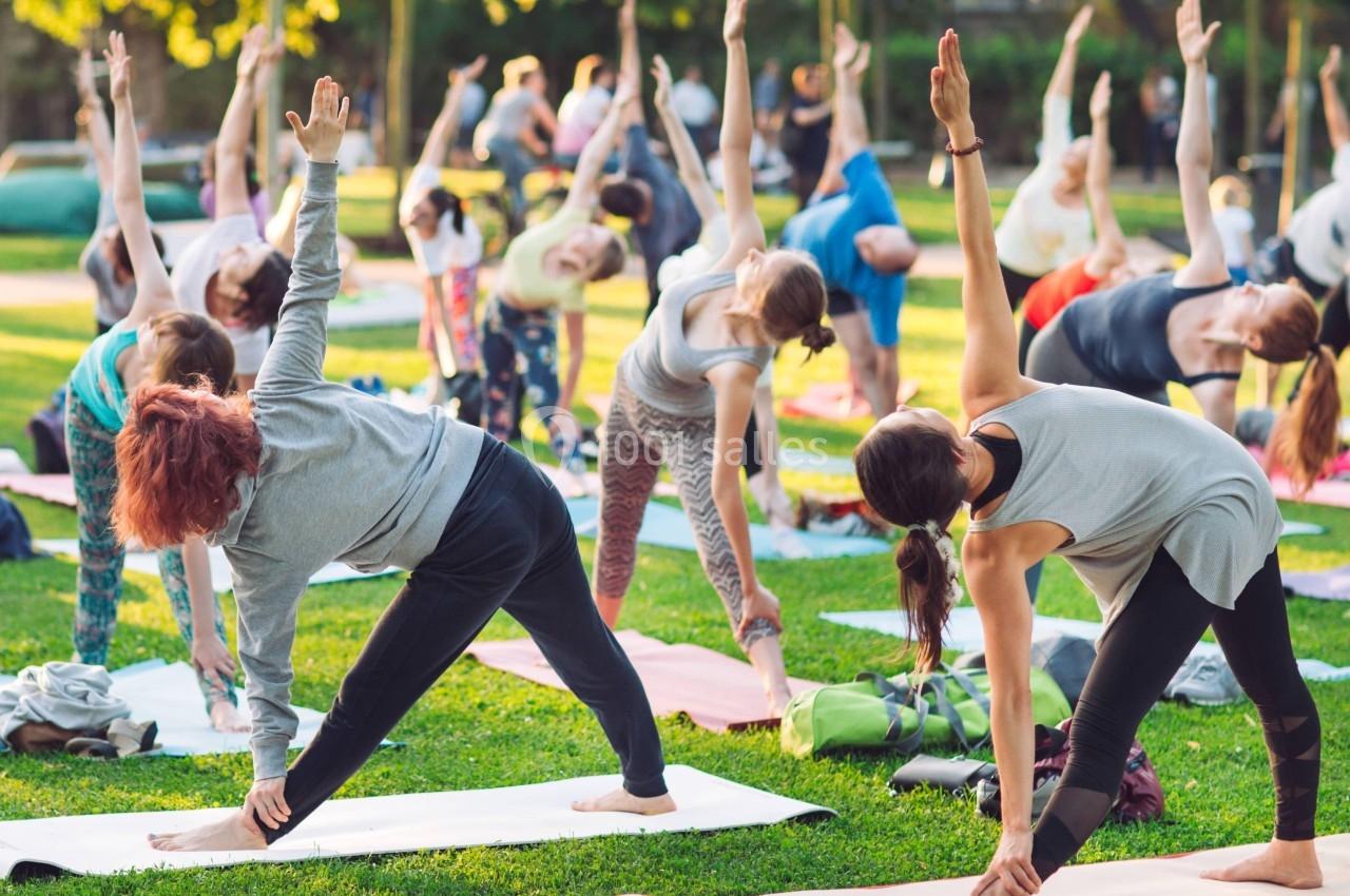 Un groupe de personnes pratique des étirements en plein air sur des tapis de yoga dans un parc verdoyant.