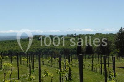 Location salle Beaumont-sur-Lèze (Haute-Garonne) - Domaine De Ribonnet #12